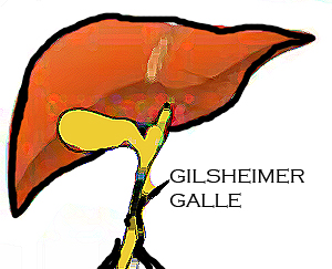 Gilsheimer Galle