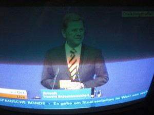 Guido Westerwelle am 6.11.2011 bei seiner Rede in Stuttgart Dreikönigstreffen - Foto Klausens vom Fernseher LIVE