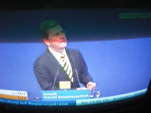 Guido Westerwelle am 6.11.2011 bei seiner Rede in Stuttgart Dreikönigstreffen - Foto Klausens vom Fernseher LIVE