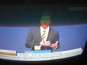 Guido Westerwelle am 6.11.2011 bei seiner Rede in Stuttgart Dreikönigstreffen - Foto Klausens vom Fernseher LIVE