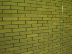 SERIELLO des Künstlers Klausens = Klau/sens vom 23.5.2009 in Bonn im Park des Palais Schaumburg vom Kanzlerbungalow bzw. Bundeskanzlerbungalow