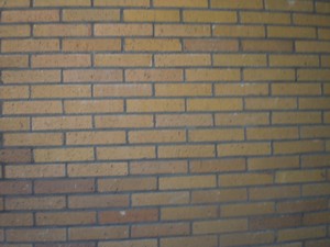 SERIELLO des Künstlers Klausens = Klau/sens vom 23.5.2009 in Bonn im Park des Palais Schaumburg vom Kanzlerbungalow bzw. Bundeskanzlerbungalow