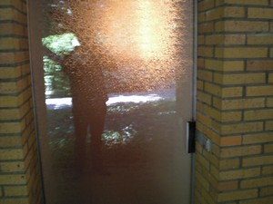 SERIELLO des Künstlers Klausens = Klau/sens vom 23.5.2009 in Bonn im Park des Palais Schaumburg vom Kanzlerbungalow bzw. Bundeskanzlerbungalow