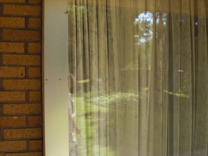 SERIELLO des Künstlers Klausens = Klau/sens vom 23.5.2009 in Bonn im Park des Palais Schaumburg vom Kanzlerbungalow bzw. Bundeskanzlerbungalow