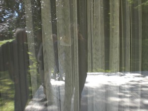 SERIELLO des Künstlers Klausens = Klau/sens vom 23.5.2009 in Bonn im Park des Palais Schaumburg vom Kanzlerbungalow bzw. Bundeskanzlerbungalow