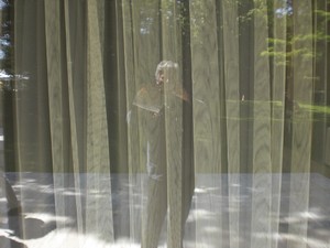 SERIELLO des Künstlers Klausens = Klau/sens vom 23.5.2009 in Bonn im Park des Palais Schaumburg vom Kanzlerbungalow bzw. Bundeskanzlerbungalow